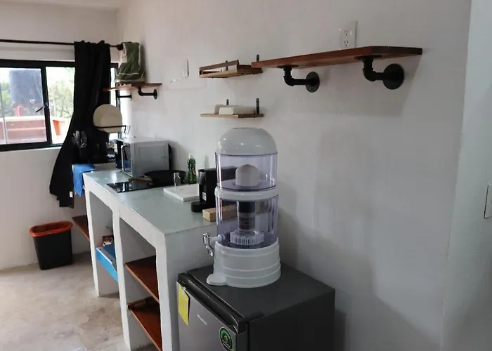 5 Minutos De La Casa Azul I Departamento Coyoacan