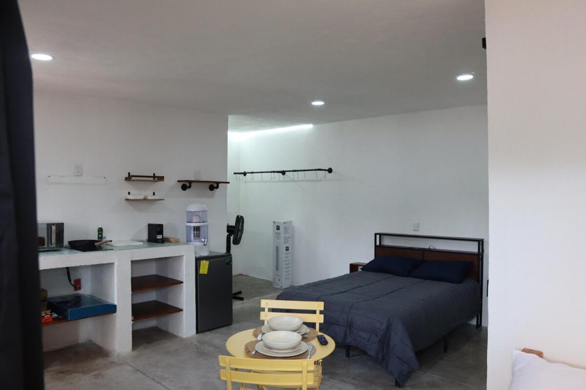 Apartment 5 Minutos De La Casa Azul I Departamento Coyoacan Mexico City